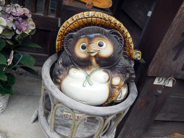 タヌキ