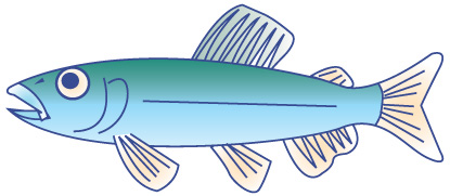 魚