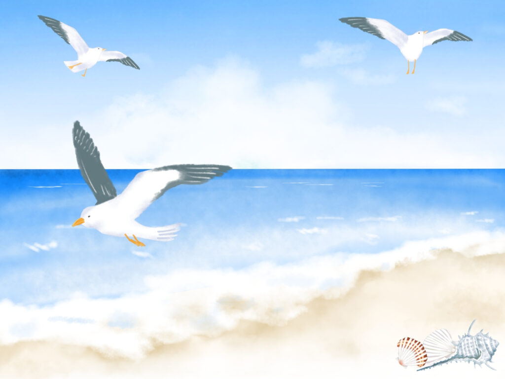 鴎の飛ぶ海岸イラスト